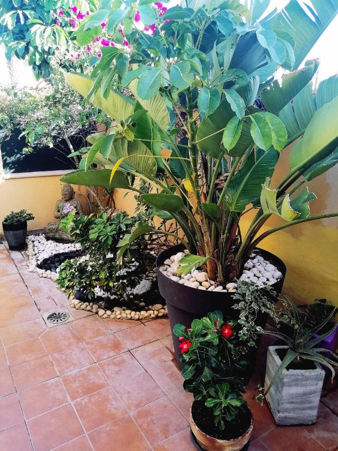 Vivienda Vacacional Vaiana Las Rosas  Εξωτερικό φωτογραφία